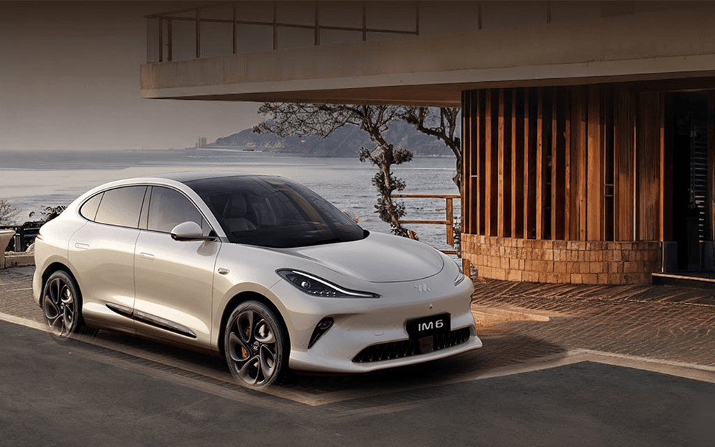 electric vehicles and environment